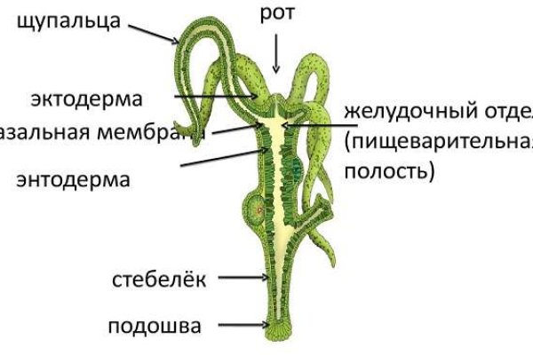 Кракен маркетплейс kr2web in площадка